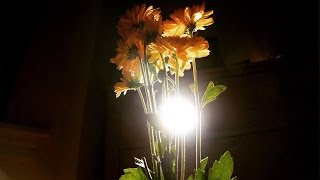 Nautical Operator - Reasons