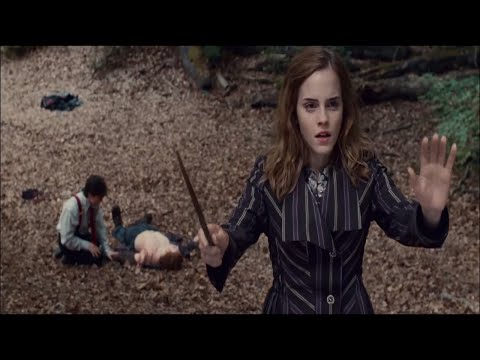 ハリー・ポッターと死の秘宝 PART1