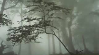 Download lagu Musik relaksasi romantis, nyaman dan damai penghilang stres.(Stress reliever romantic, peace full) mp3 Download lagu Musik relaksasi romantis, nyaman dan damai penghilang stres.(Stress reliever romantic, peace full) mp3