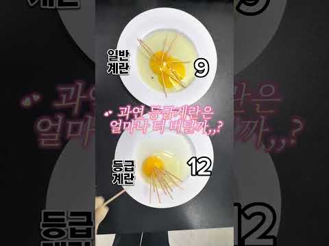 등급계란은 얼마나 버틸까?