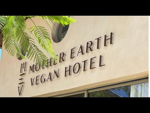 Play Video Youtube Video