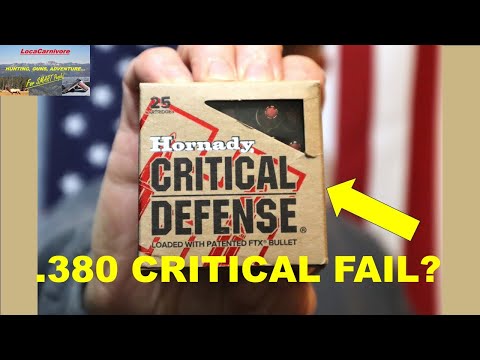 Hornady .380 Critical Defense: Watch BEFORE U Carry