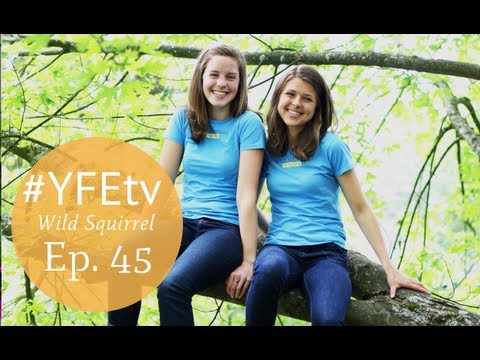 Wild Squirrel Nut Butter Shark Tank Pitch