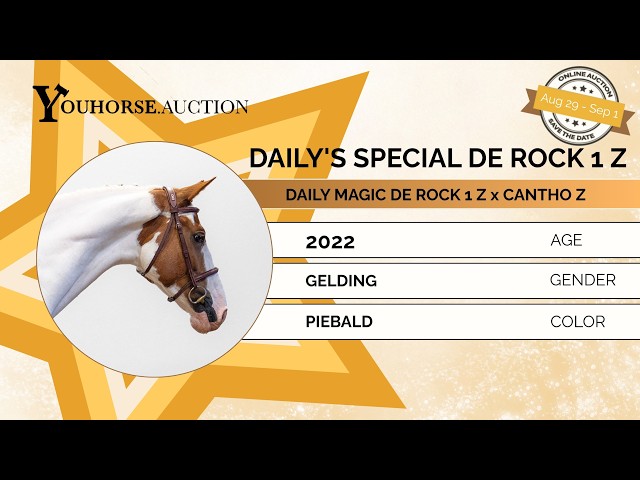 Daily's Special de Rock 1 Z
