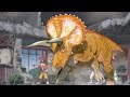 Dinosaur King Chomp Takes Out Spiny And Tank