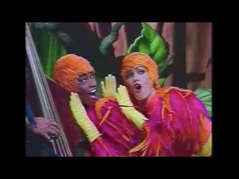 Passarinho, que som é esse? - Contrabaixo