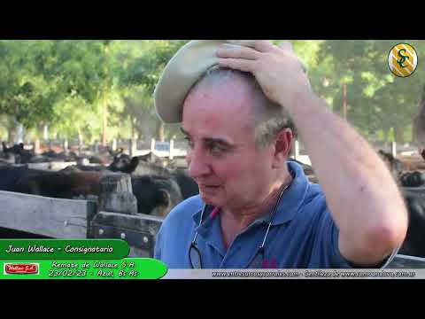 23-02-23 - Juan Wallace - Remate de Wallace S.A. - Azul, Bs.As.