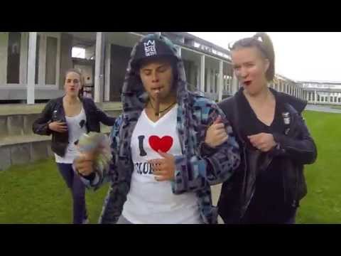 Lipdub S.I.C. 2014 - Raise your glass (Pink)