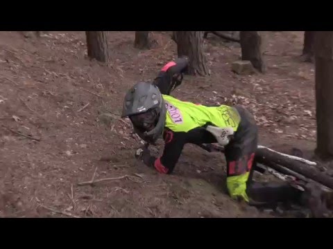 The Dogs Bollocks Raw