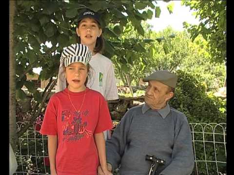 La formigueta que se'n anava a Jerusalèm