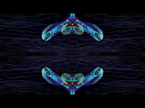 Music Mix by Lobster - Volume 12