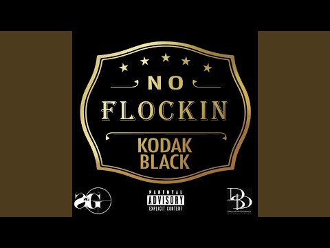 download lagu mp3 mp4 No Flockin Mp3, download lagu No Flockin Mp3 gratis, unduh video klip No Flockin Mp3