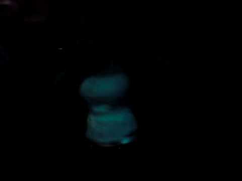 Kimona Performs 'i see you' @ Branded crazy cousinz special