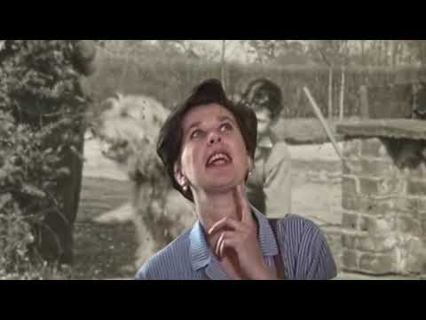 un.procedure - Polytunnel (Official Video)