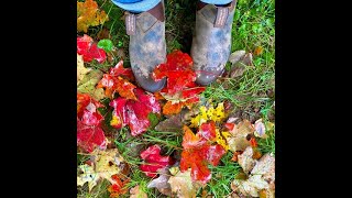 Mary Chapin Carpenter - Songs From Home Episode 43: Girls Like Me