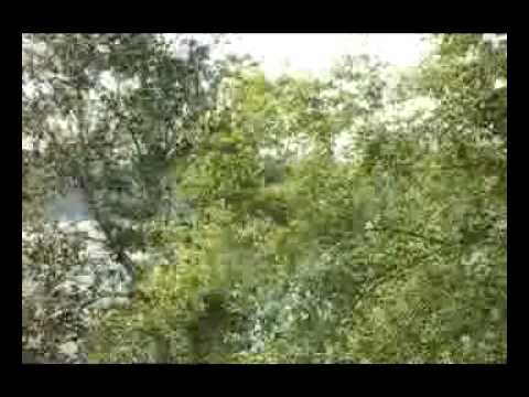 BAJALICA (Healing Chant)  Part 1