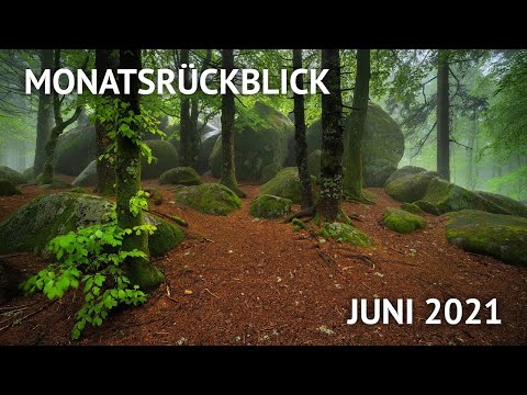 Fotomonatsrückblick: Juni 2021