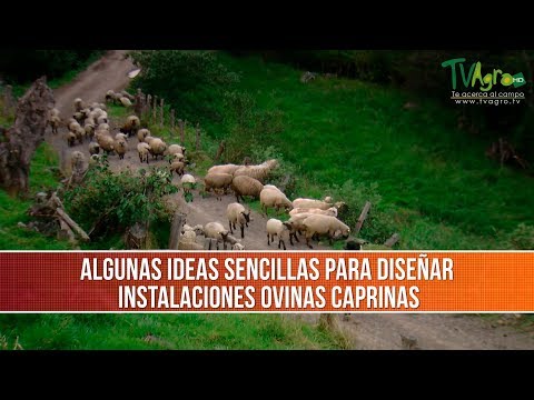 , title : 'Ideas para Diseñar Instalaciones Ovino Caprinas- TvAgro por Juan Gonzalo Angel Restrepo'
