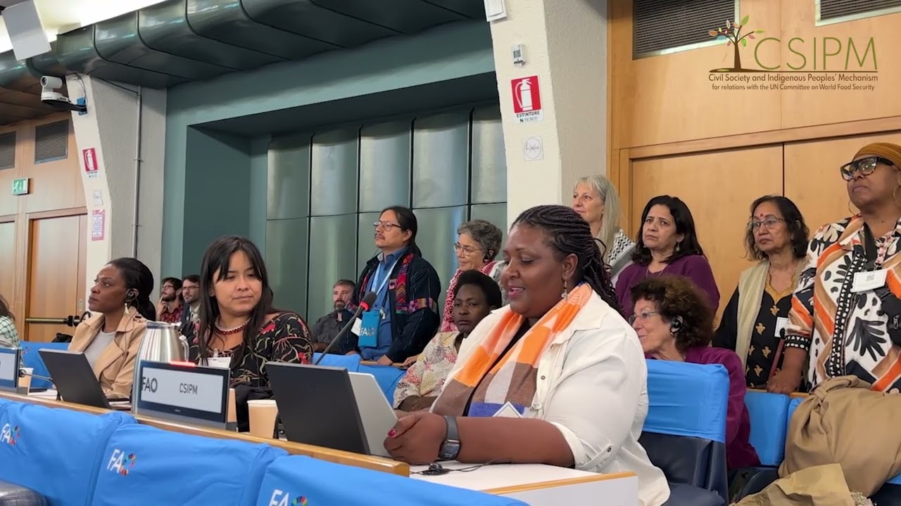CFS 53: Thank you message for H.E. Ambassador Nosipho Jezile delivered by Precious Phiri (Zimbabwe)