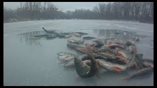 Куда поехать на рыбалку в энгельсе