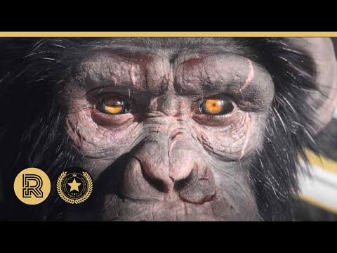 Award Winning CGI VFX & Animation Breakdown: "400MPH" by Supinfocom Rubika  | The Rookies