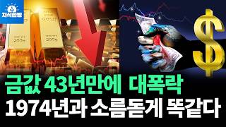 금값 대폭락, 1974년 금값 폭락과 평행이론 (박종훈의 지식한방)