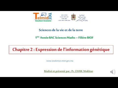 , title : 'Chapitre 2  Expression de l’information génétique'