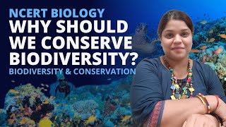 Why should we conserve biodiversity? Biodiversity and Conservation | Class 12 | NEET