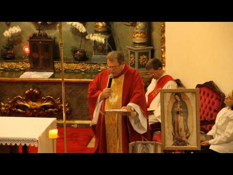 Paróquia Santo Antônio - Aldeia da Serra - Missa do 24º Domingo Comum