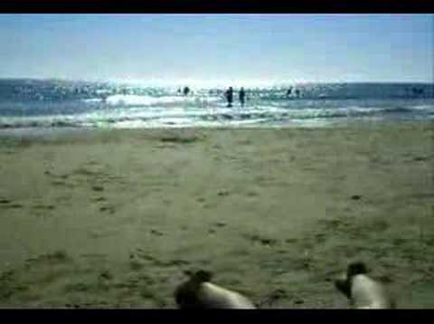 luzmary en playa hermosa piriapolis