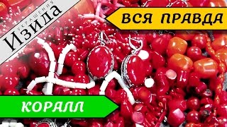 Якопо цукки ловля кораллов