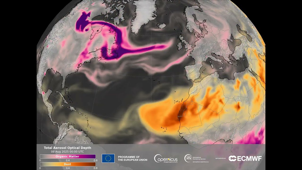 CAMS data revealed episodes of transatlantic smoke and Saharan dust | AOD between 1-31 August 2025