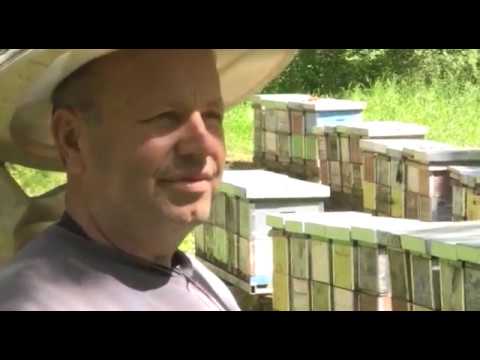 Boja meda ep. 56 02.04.2019. edukacija, Ruma, pčelarstvo, greške, martovski pregled, bagremova paša