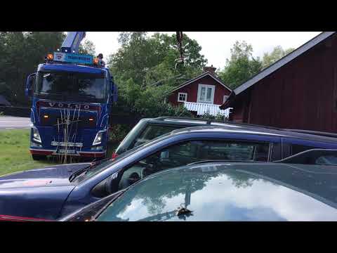 Trädplockning Trefoten