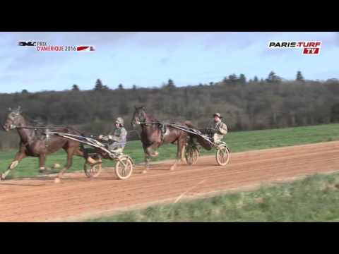 Prix d'Amérique 2016 - Le Défilé des Favoris : Akim du Cap Vert