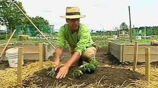 Making a Raised Bed Garden