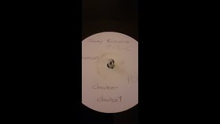 Jamie Bissmire  -  P C P