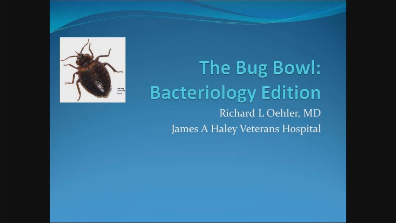 The Bug Bowl: Bacteriology Edition - Richard L Oehler, MD - YouTube