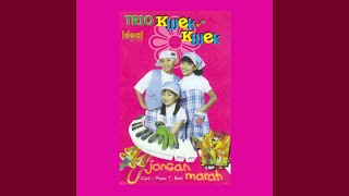 Download lagu Jangan Marah mp3