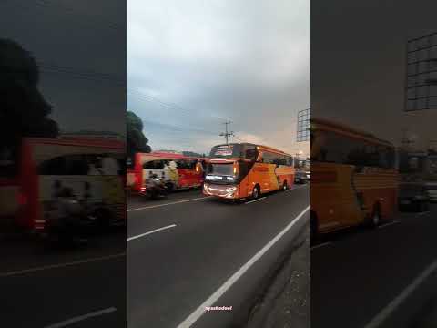 LOHH KOK BASURINYA KAYA PUNYA......... #busmania #storywa #busmaniacomunity #mania #vidioviral