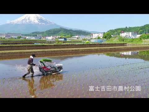 山麓の農作(富士吉田市農村公園)
