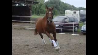 Vidéo de Heldenberg