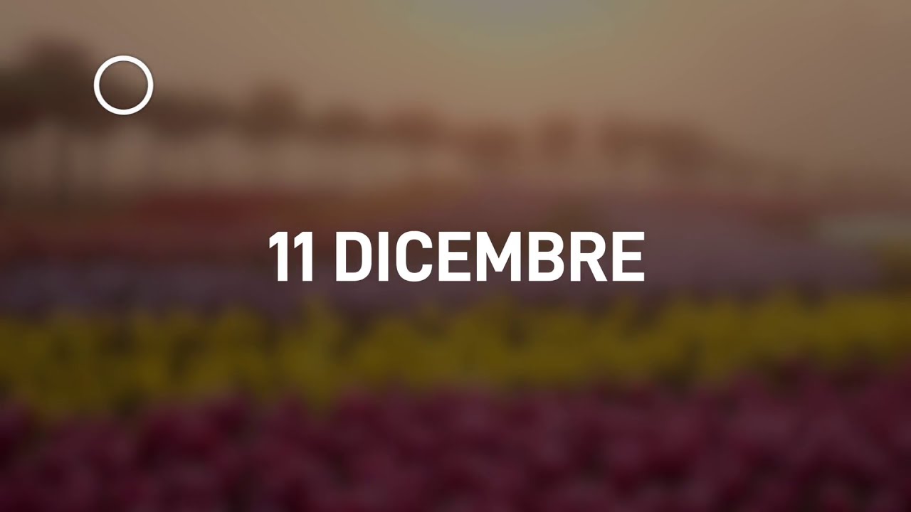 11 Dicembre 2024 | Meditazione Parole di Vita