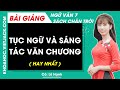 Tục ngữ và sáng tác văn chương Ngữ văn lớp 7 Chân trời sáng tạo