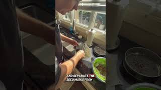 Grow your own sprouts in 5 days for pennies