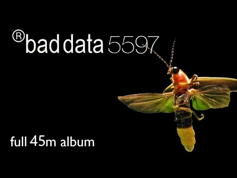 bad data 5597 - Bad Data - 1997 - [®em:t-5597] - Full 45m Album