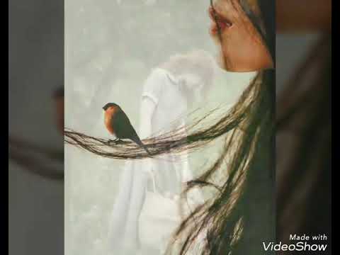 سیامک عباسی شهر بارونی