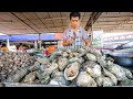 Street Food OYSTER BAR Seafood Mountain In Surat Thani Thailand