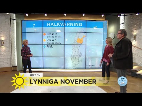 "Man blir lurad om man bara tittar på bilens termometer" - Nyhetsmorgon (TV4)