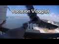 Seagull Mayhem Vacation Vlog Part1 3